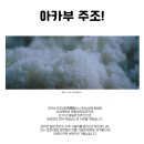 사케아이 | 여름과 어울리는 아카부 사케 아이야마 준마이긴죠 맛 가격 후기