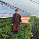 삼기농장 이미지