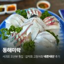 미락 | 서귀포 횟집 동해미락 내돈내산 갈치회 고등어회 솔직후기