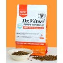 퍼피플랜 이미지