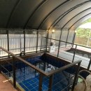 별을 담은 숲 이미지