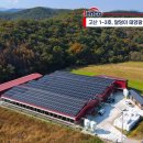 고산태양광발전소 이미지