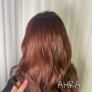 아라헤어 이미지