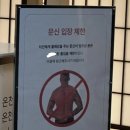 점점 확산되고 있는 노타투존 이미지