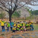 꽃숲유치원 이미지