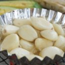 스파고기 이미지