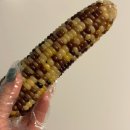 부산 범어사 맛집 옛날찐빵왕만두 찐옥수수 내돈내산 후기