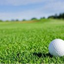 내원스크린골프 이미지