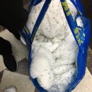 에코클린24