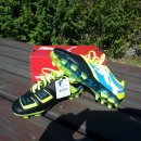 골드 캣 이미지