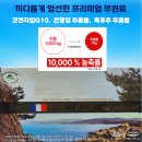 다인약국 | 전통 프랑스 정품 항산화 원료!셀로맥스약국 현대메디칼약국 추천💊세포·혈관·피부까지 항산화! 프랑스...