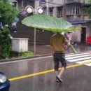 비.제이 이미지