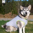 트루러브 이미지