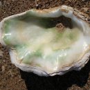 로얄동물메디컬센터 강동 이미지