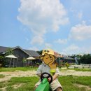 은아농장 | 은아목장 – 아이와 함께하는 신나는 농장 체험