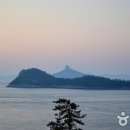 진도여라 이미지