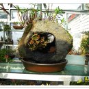 첨성대스파랜드 이미지