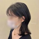 아르브헤어 arvv 이미지