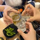 LG동락사 | [강남 삼성동] 코엑스 근처 더운 여름날 생각나는 물회 맛집 ‘동어동락’