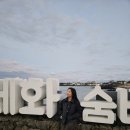 스테이선자우 이미지