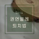 권연벌레 퇴치법 알아보신다면 이렇게!