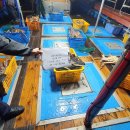 동해-단속-26 이미지