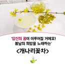 한국꽃차문화아카데미