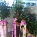 대방세탁 이미지