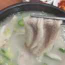 초락초등학교 | [창원/상남동] 40년 전통 창원 3대국밥 맛집, 원돼지국밥(+항정살국밥 솔직후기)
