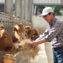 행복한목장 이미지