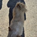 운일암반일암 | 진안) 운일암반일암 송어횟집