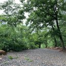 맑은개울 캠핑장 이미지