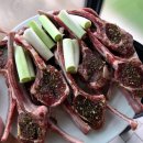 (주)선재해림풀빌라 | [내돈내산] 대부도 풀빌라 + 인클로저돔수영장 숙소 "선재해림풀빌라" 꼼꼼히 즐긴 후기 (with 휴마레...