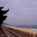 정동진역 이미지