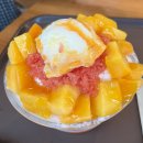 설빙영광도서 | [부산] 설빙 서면영광도서거리점 내돈내산 신상 메뉴 자망코설빙 후기