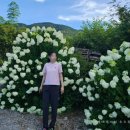 죽순농원식당 이미지