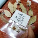 가을 자연물을 활용한 위빙 액자 | 어울 숲FIA 자연놀이 집콕키트 놀이