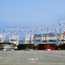 서천서해안횟집 | 서천 홍원항 수산시장 새조개 횟집 경매 시간