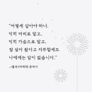 별사이 이미지