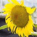 서울흥인초등학교 이미지