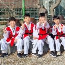 경희대석사경무태권도 이미지