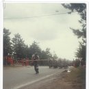 해병일기 14부(729기 쓴글 퍼옴) 이미지