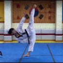 고려 태극태권도장 이미지