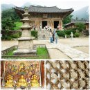 NR-30[무설로]-상-277 | 전나무 숲길 지나면 '내소사'가 있다