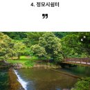 금수강산 이미지