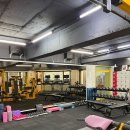 더쉐이프 이미지