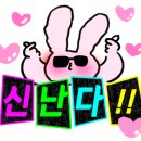 메르드로브 이미지