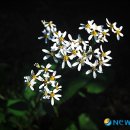 안성시립중앙도서관 전시실 이미지