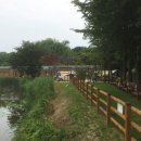 구리 토평 가족캠핑장 이미지