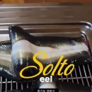 솔토장어